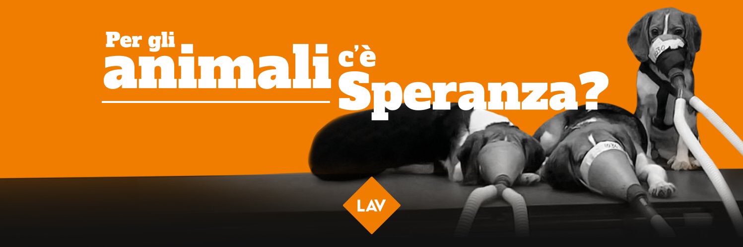 LAVSedeAsti's profile banner image