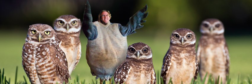 WillWillWillWillWill BerangeBerangeBerangeBerange banner