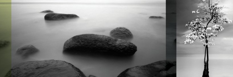 BirchCounselMN's profile banner image