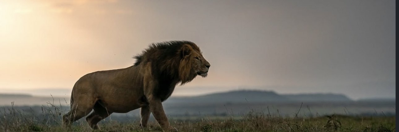 d_leon8's profile banner image
