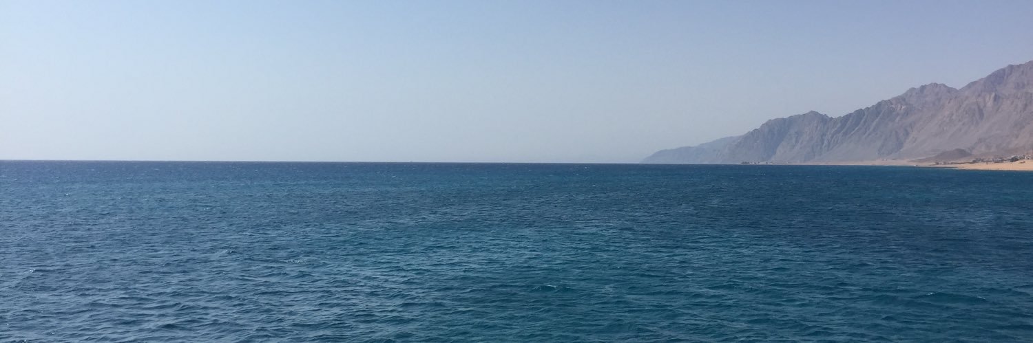 ayaelkhobby's profile banner image
