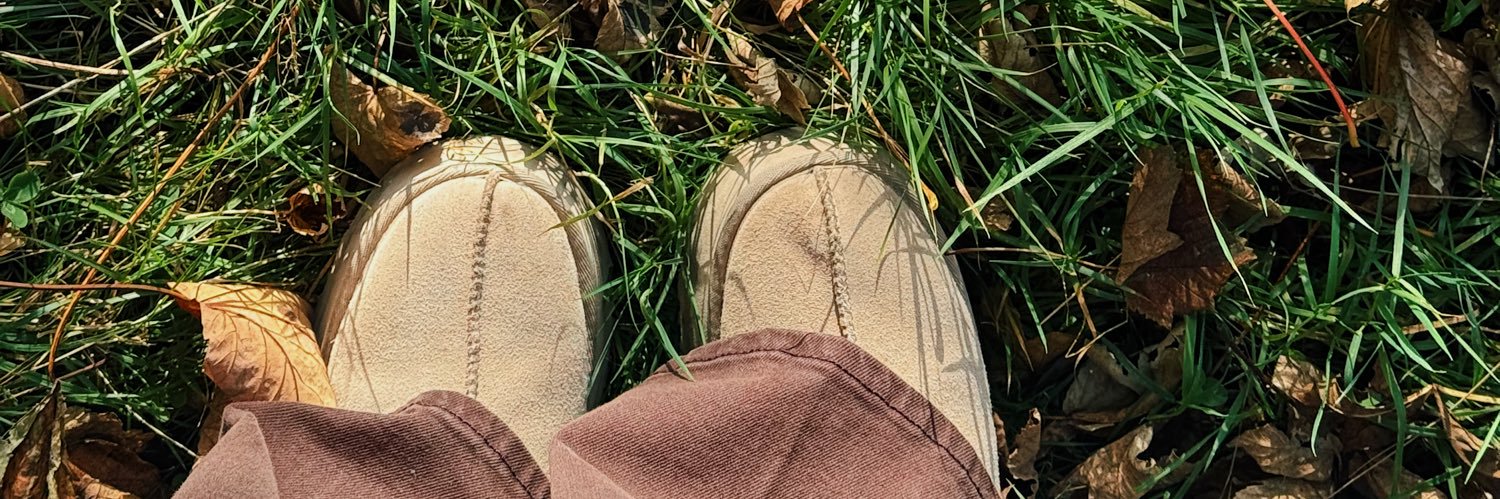 rubeccashields_'s profile banner image