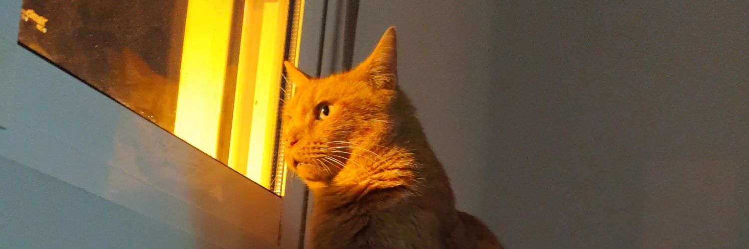 karlosdonate's profile banner image