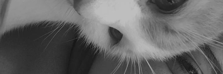 AlmadaYake's profile banner image