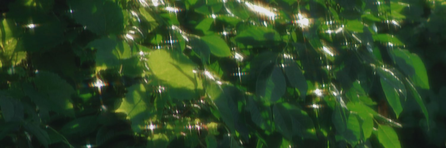 mssadittarius's profile banner image
