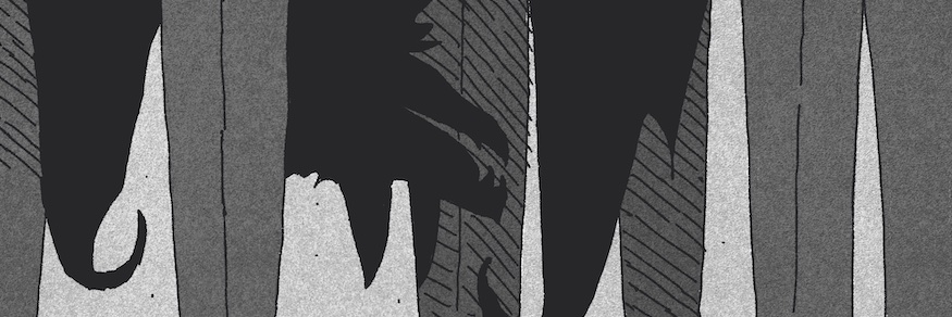 noseturquoise's profile banner image