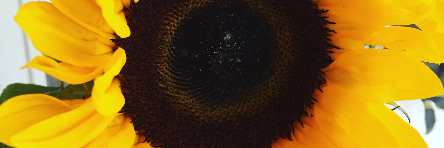 makela_virpi's profile banner image