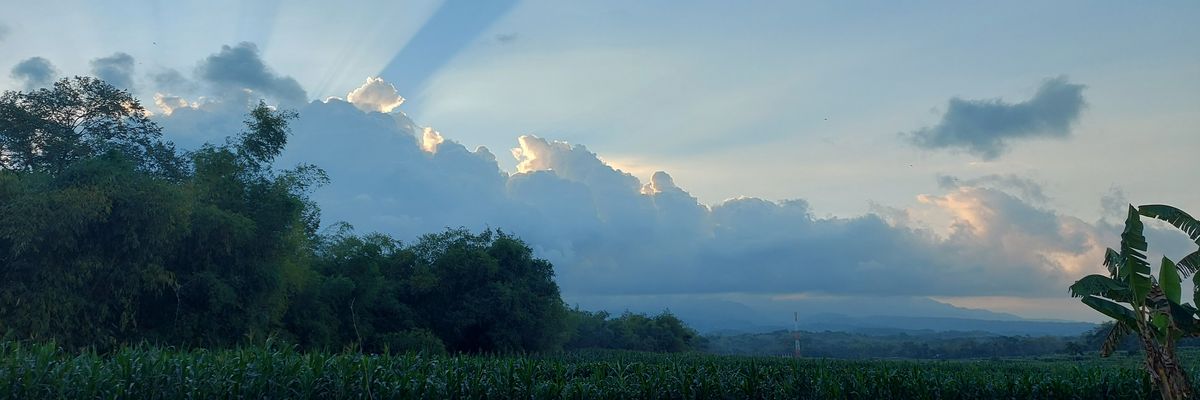 WapWappa's profile banner image