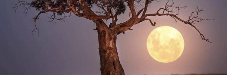 aliou6920's profile banner image