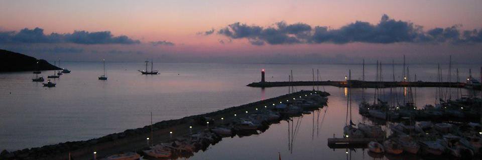 Penelope_Laut's profile banner image