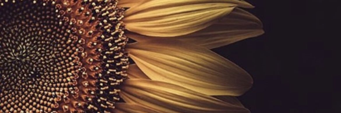 Jen__Deome's profile banner image