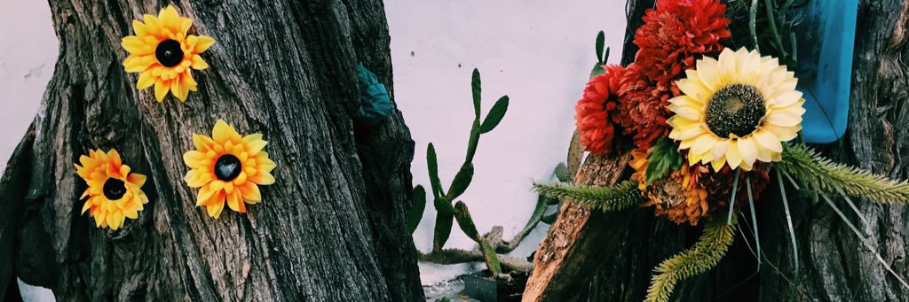 lisaa_silvaa's profile banner image