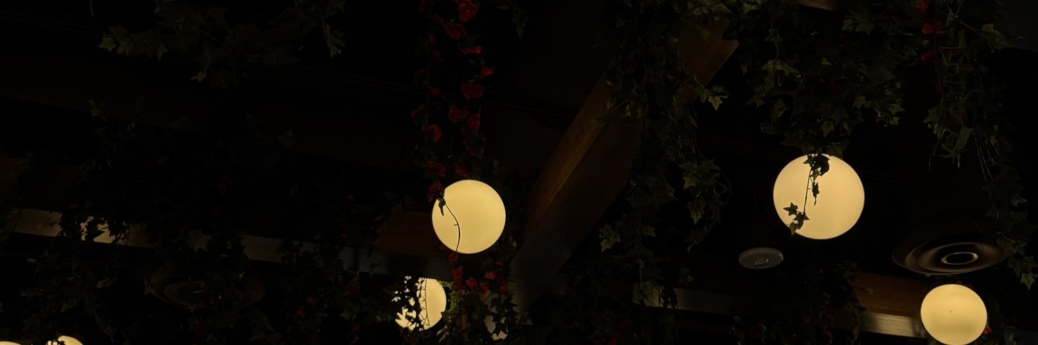 dalainaxo's profile banner image