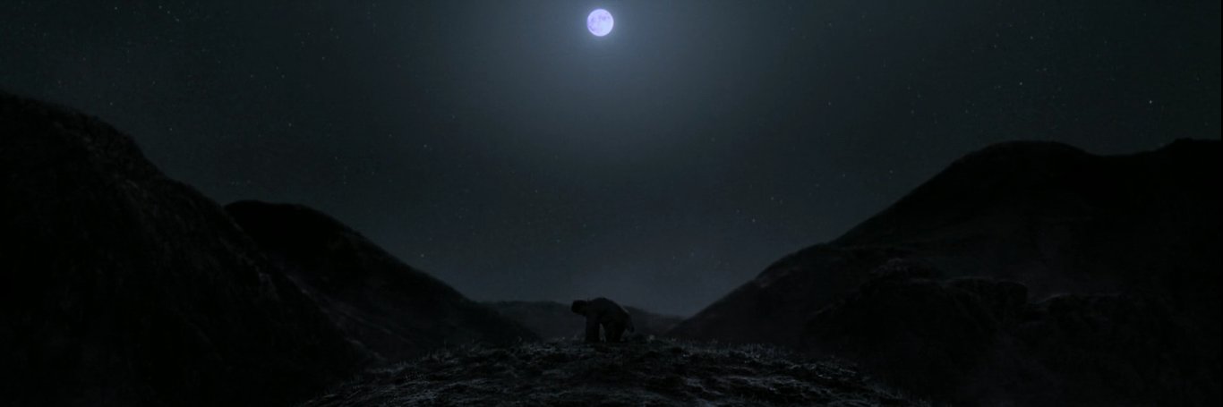 _AmrAlii's profile banner image
