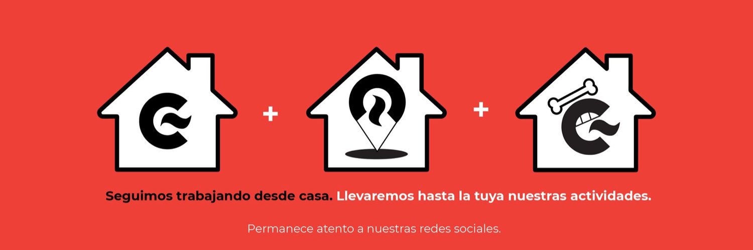 casacanibal's profile banner image
