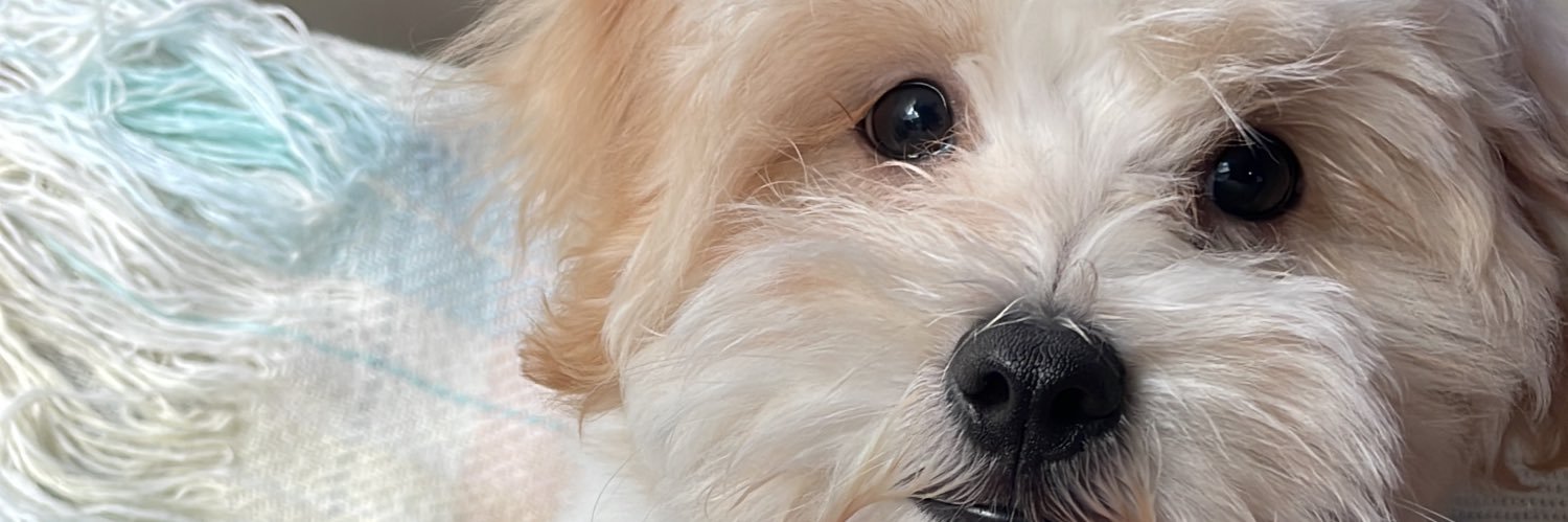 gztlm02's profile banner image