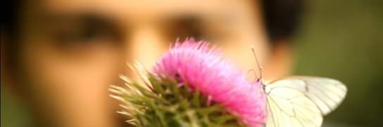 44Sezer's profile banner image