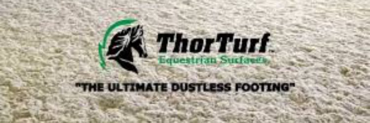 ThorTurfES's profile banner image
