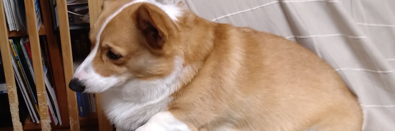 bobdog8's profile banner image