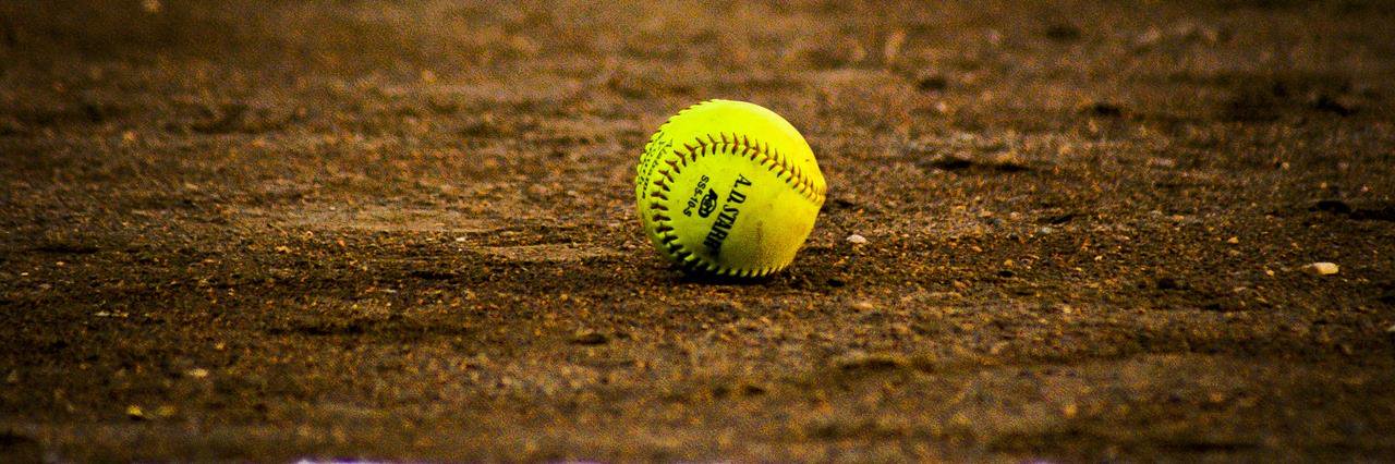 LSSUSOFTBALL1's profile banner image