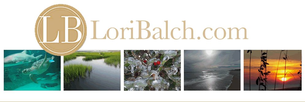 loribalch2's profile banner image
