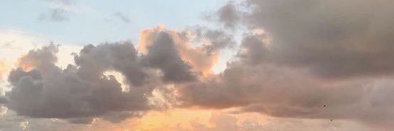 tranquilityxo's profile banner image