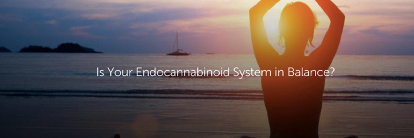 PresentNaturals's profile banner image