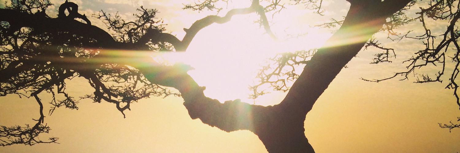 Sh_alkalthami's profile banner image