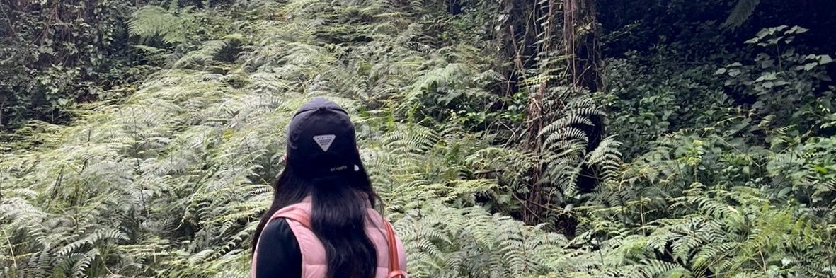 lulakitmo's profile banner image