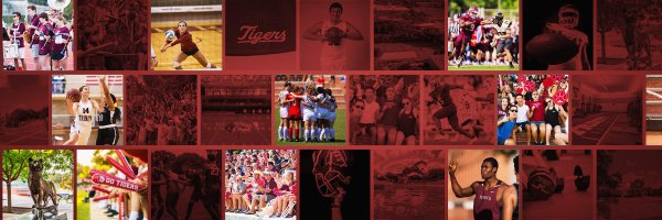 TrinityUTigers Profile Banner