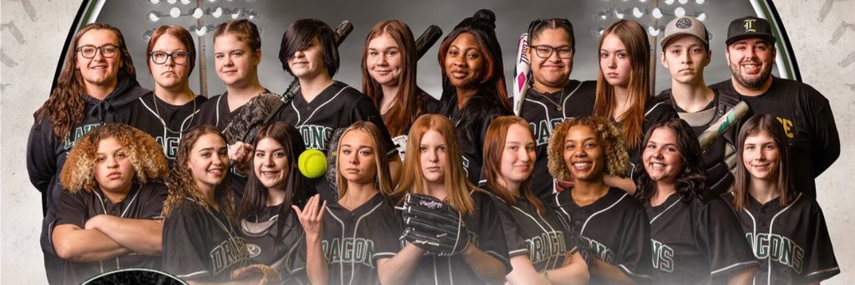 LHSSoftball13's profile banner image