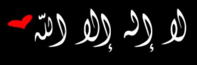 mjeed_zh's profile banner image
