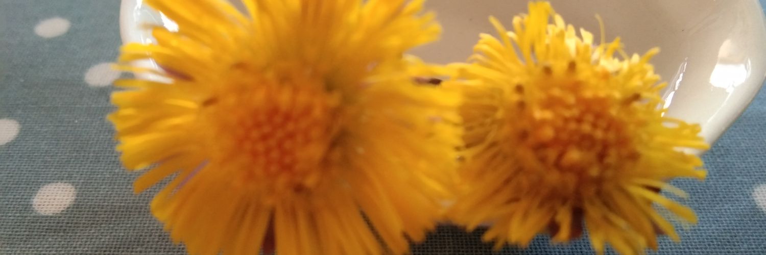 ath64's profile banner image