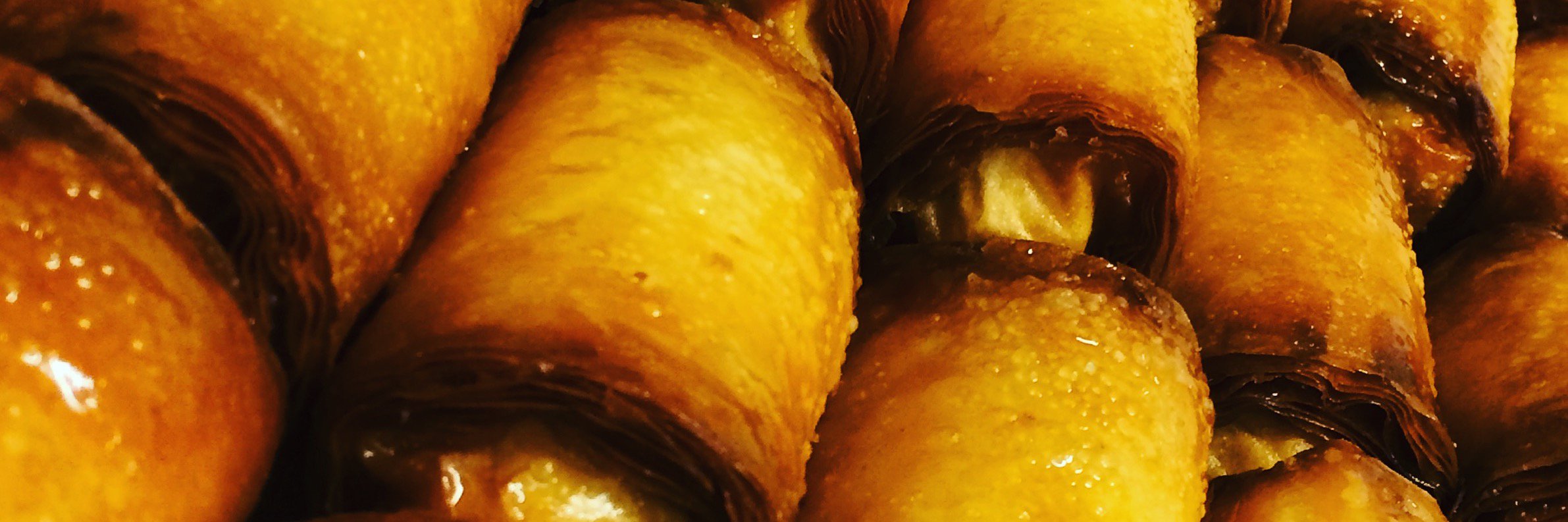 SeaSweetAU's profile banner image
