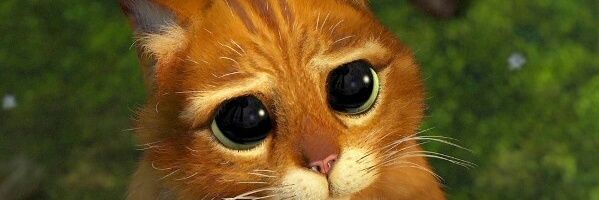 byGabriel06's profile banner image