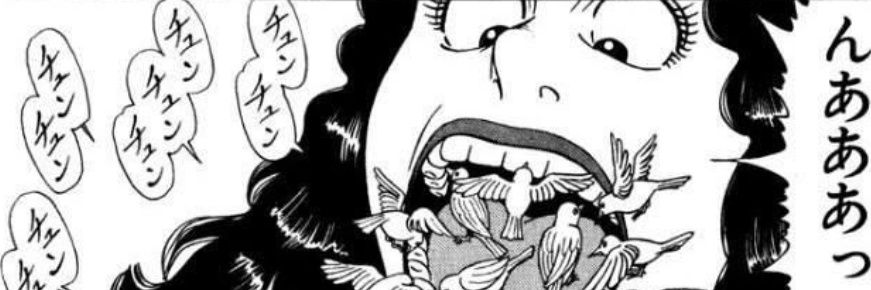 HushBeetle's profile banner image