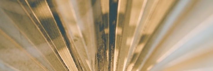 kshallelbee's profile banner image