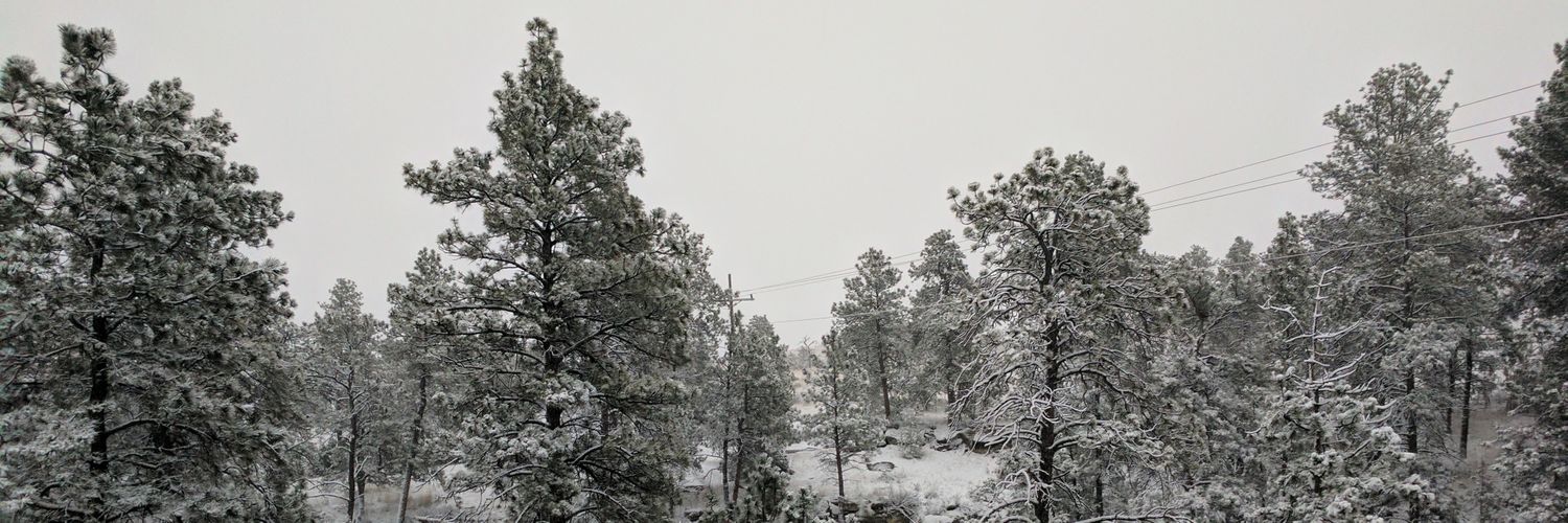 FrogRoom's profile banner image