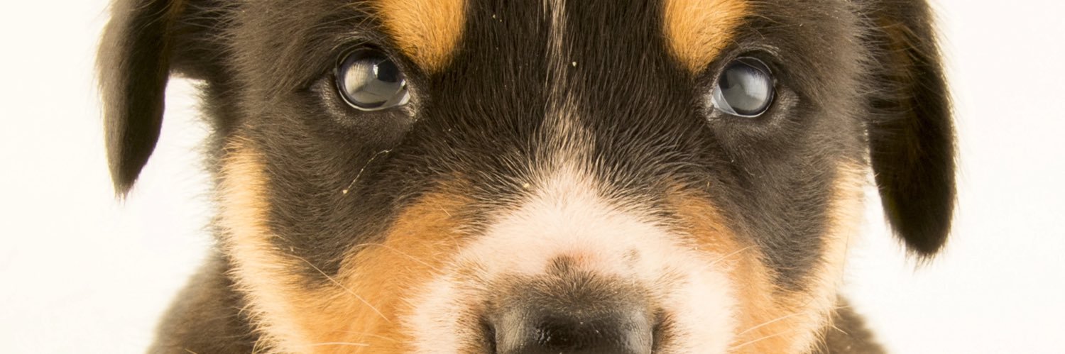 coachstennett's profile banner image