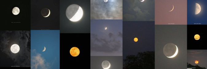 lua__t's profile banner image
