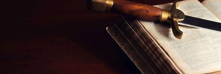XavierBertuol's profile banner image