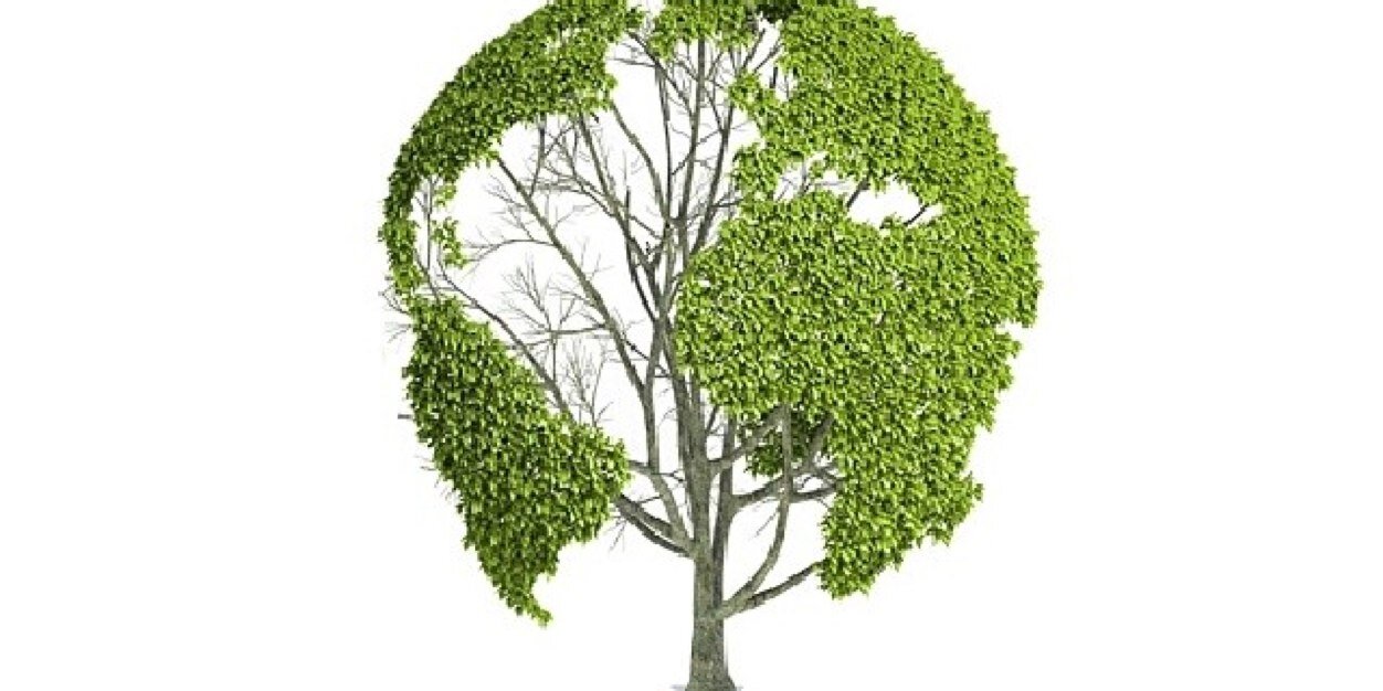 TREEHUGGER banner