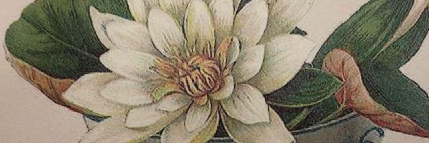 Ellen June Wright banner