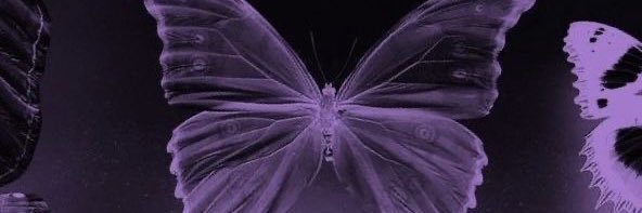 behlsy's profile banner image