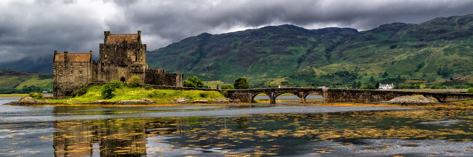 lordbeauly's profile banner image