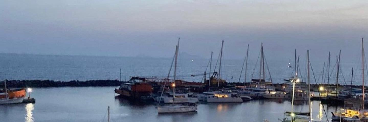 SomeoneNamedAri's profile banner image