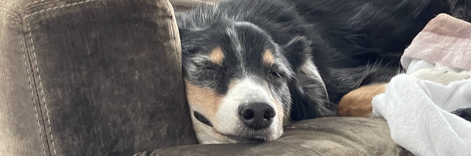 Sean Tompkins banner