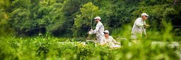 FlyFishingPro1's profile banner image