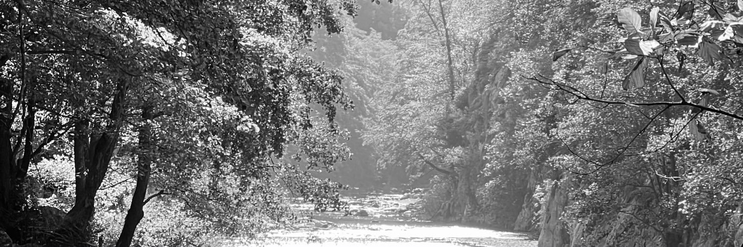 Matas Petrikas banner