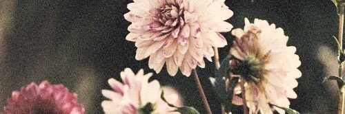 _taylorwinton's profile banner image